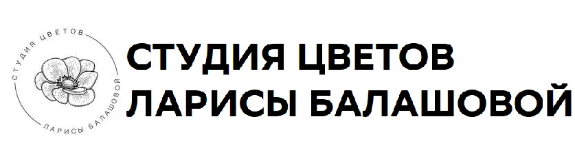 СТУДИЯ ЦВЕТОВ ЛАРИСЫ БАЛАШОВОЙ