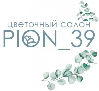 Pion_39